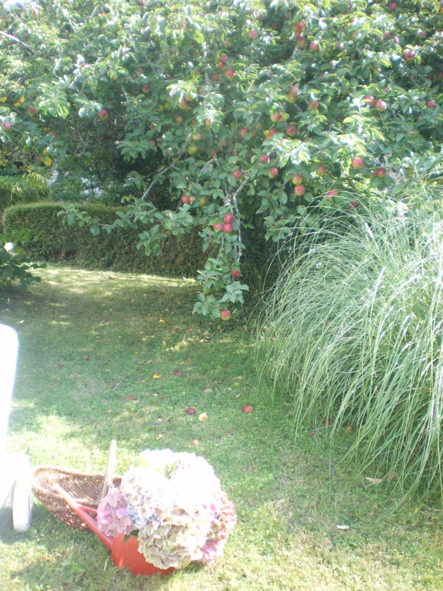 Residence De L'Esperance La Forêt-Fouesnant Esterno foto